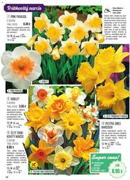 48. stránka Starkl letáku