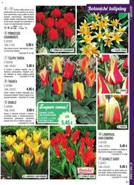 51. stránka Starkl letáku