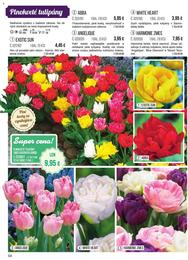 54. stránka Starkl letáku