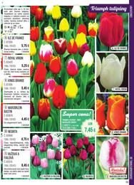 55. stránka Starkl letáku