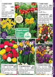 57. stránka Starkl letáku