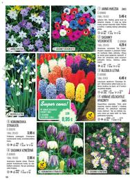 58. stránka Starkl letáku