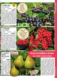 5. stránka Starkl letáku