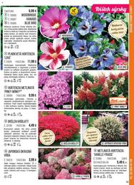 79. stránka Starkl letáku