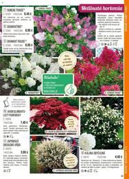 39. stránka Starkl letáku