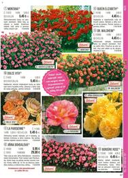 57. stránka Starkl letáku