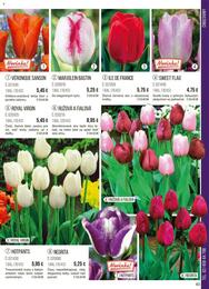 63. stránka Starkl letáku