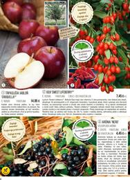 6. stránka Starkl letáku