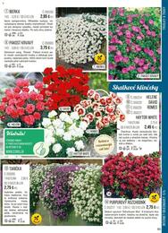 85. stránka Starkl letáku