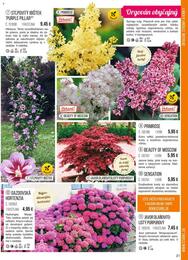 21. stránka Starkl letáku