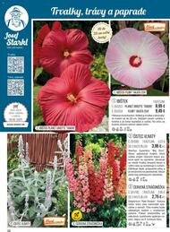 38. stránka Starkl letáku