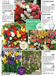 60. stránka Starkl letáku