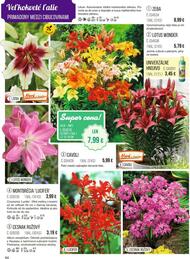 64. stránka Starkl letáku