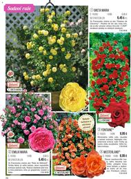 70. stránka Starkl letáku