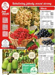 72. stránka Starkl letáku