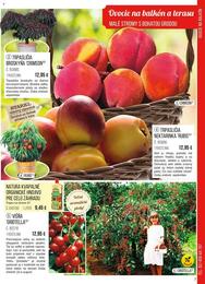 7. stránka Starkl letáku