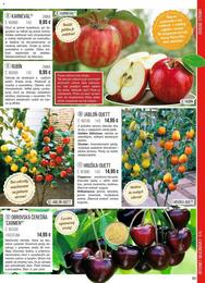 89. stránka Starkl letáku