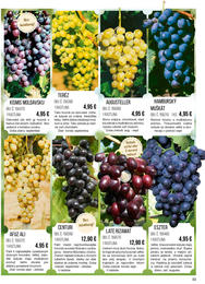 33. stránka Starkl letáku