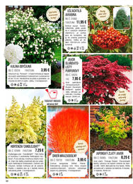 38. stránka Starkl letáku