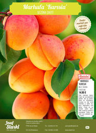 88. stránka Starkl letáku