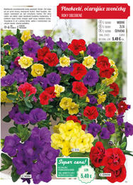 11. stránka Starkl letáku