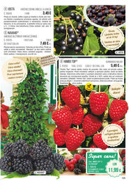 125. stránka Starkl letáku