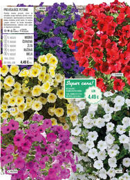 19. stránka Starkl letáku