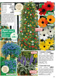 23. stránka Starkl letáku