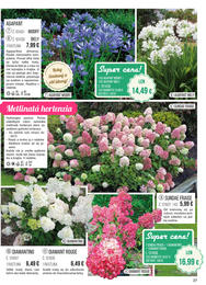 27. stránka Starkl letáku