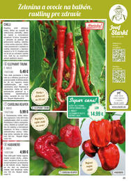 29. stránka Starkl letáku