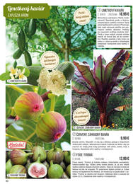 40. stránka Starkl letáku