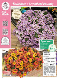 4. stránka Starkl letáku