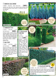 50. stránka Starkl letáku