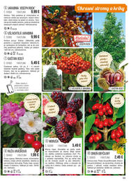 53. stránka Starkl letáku