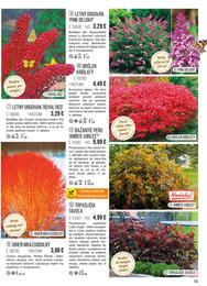 55. stránka Starkl letáku