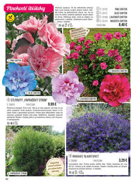 62. stránka Starkl letáku