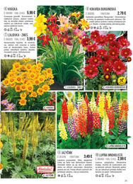 71. stránka Starkl letáku