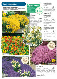 80. stránka Starkl letáku