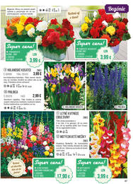 87. stránka Starkl letáku