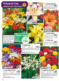 90. stránka Starkl letáku