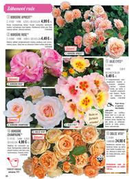 96. stránka Starkl letáku