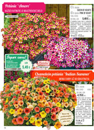 10. stránka Starkl letáku