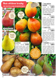 26. stránka Starkl letáku