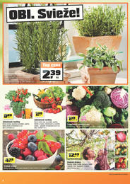 6. stránka OBI letáku