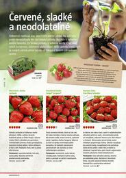 52. stránka BAUHAUS letáku