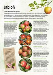 60. stránka BAUHAUS letáku