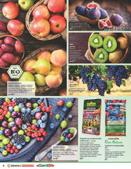 6. stránka BAUHAUS letáku