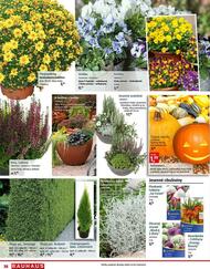 38. stránka BAUHAUS letáku