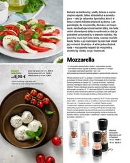 22. stránka Tescoma letáku